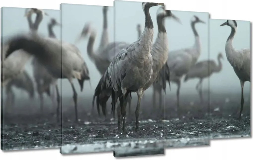 Képek 100x60 Darvak a ködben köd