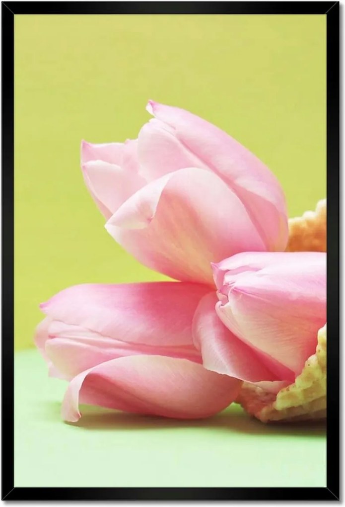 Poszterek keretben 40x60 Tulipánok ízlés szerint