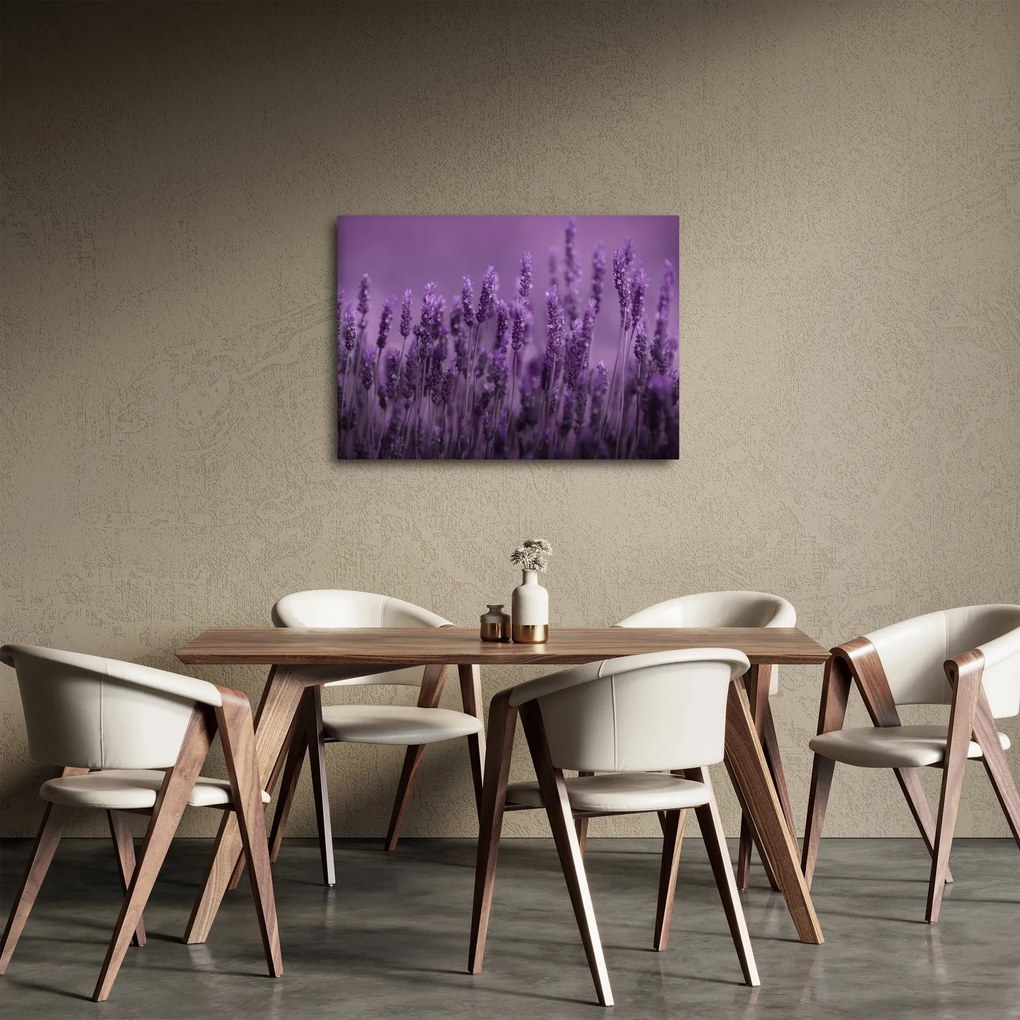Kép - Levendula (70x50 cm)
