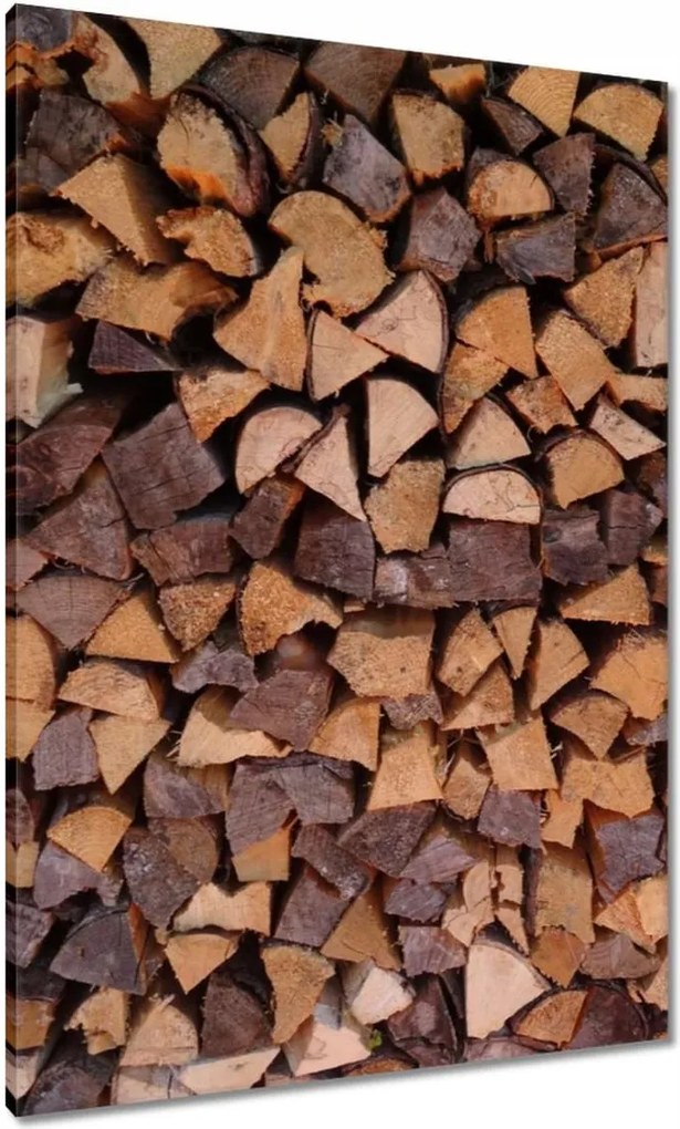 Vászonkép 70x100 Kandalló fa