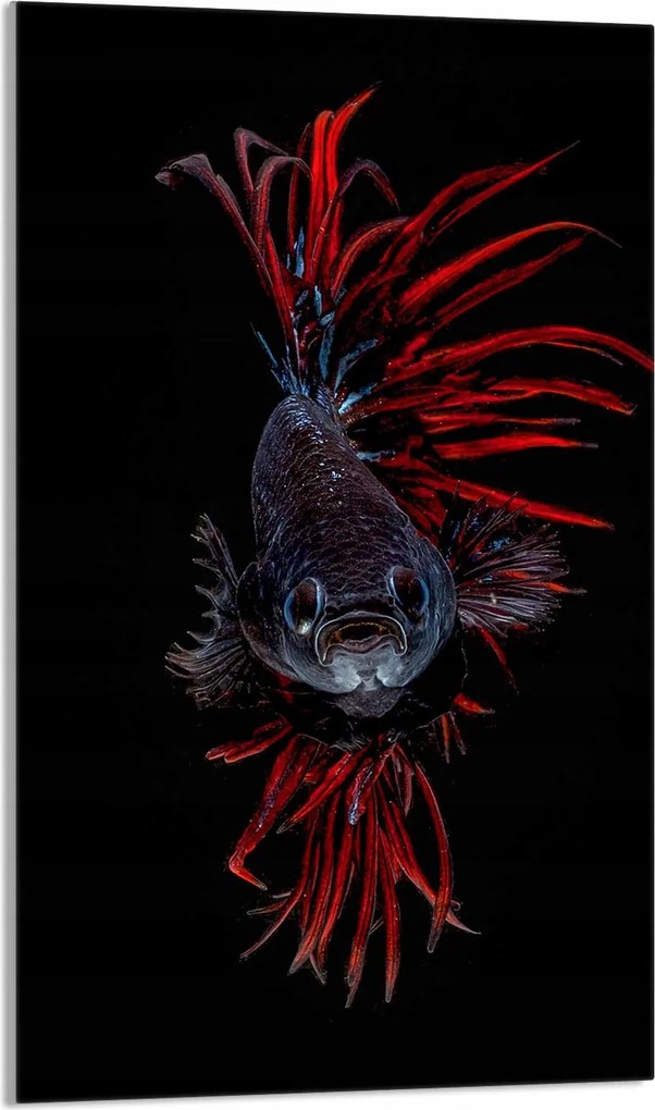 Üveg Vágódeszka 30x52 Hal a Konyhába