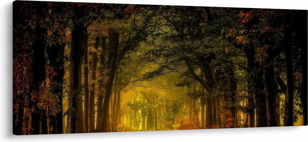Erdő képe (120x50 cm)
