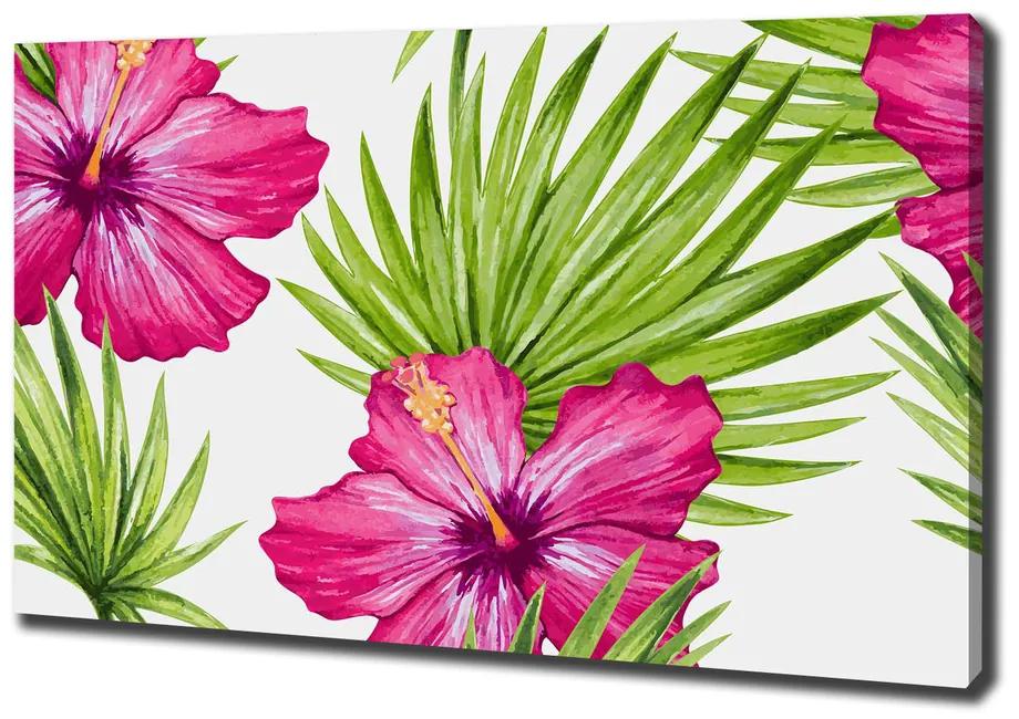 Fali vászonkép Hawaii virágok pl-oc-100x70-f-91341582