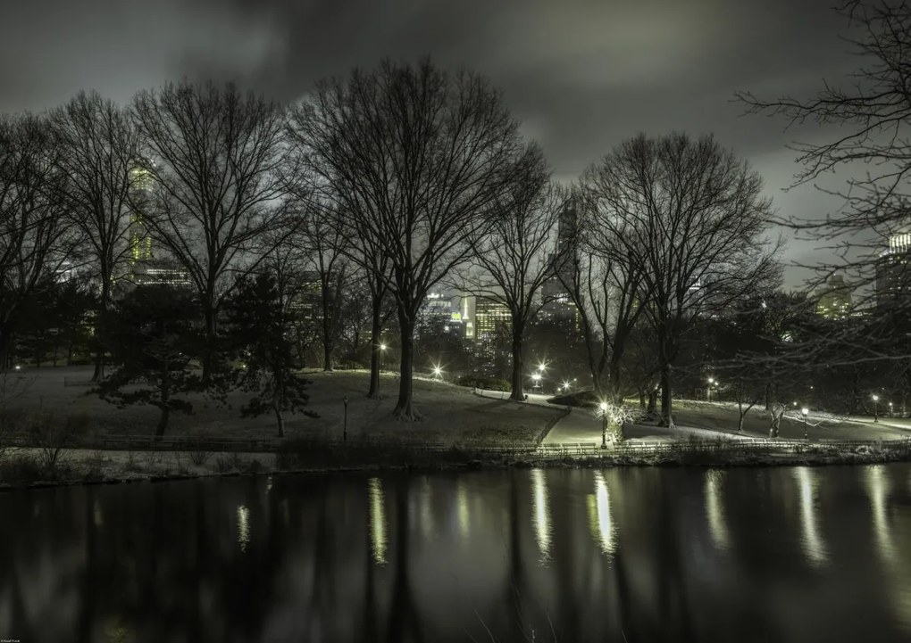 Poszter 84,1x59,4cm Central Park éjszaka 2, Assaf Frank