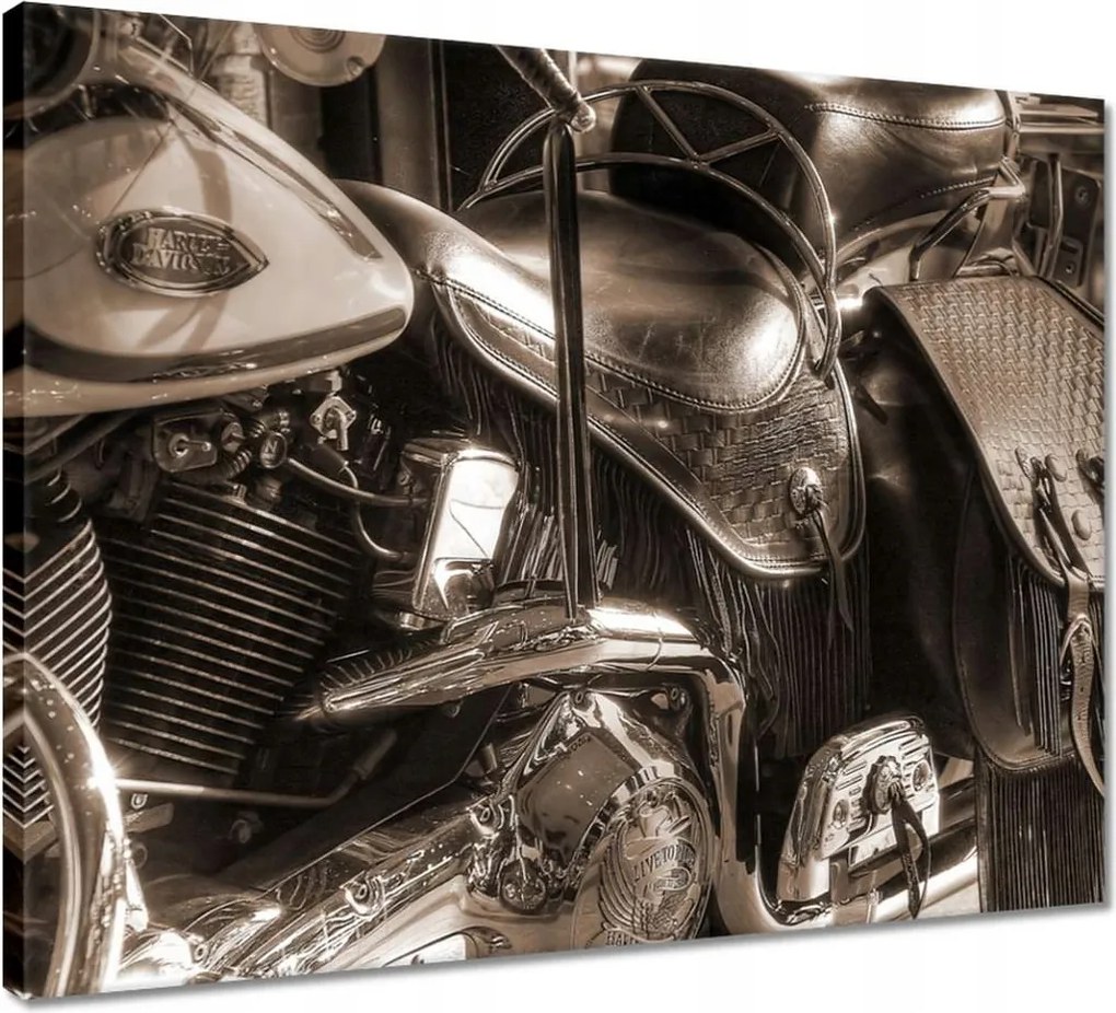 Vászonkép 50x40 Harley Davidson Motorkerékpár