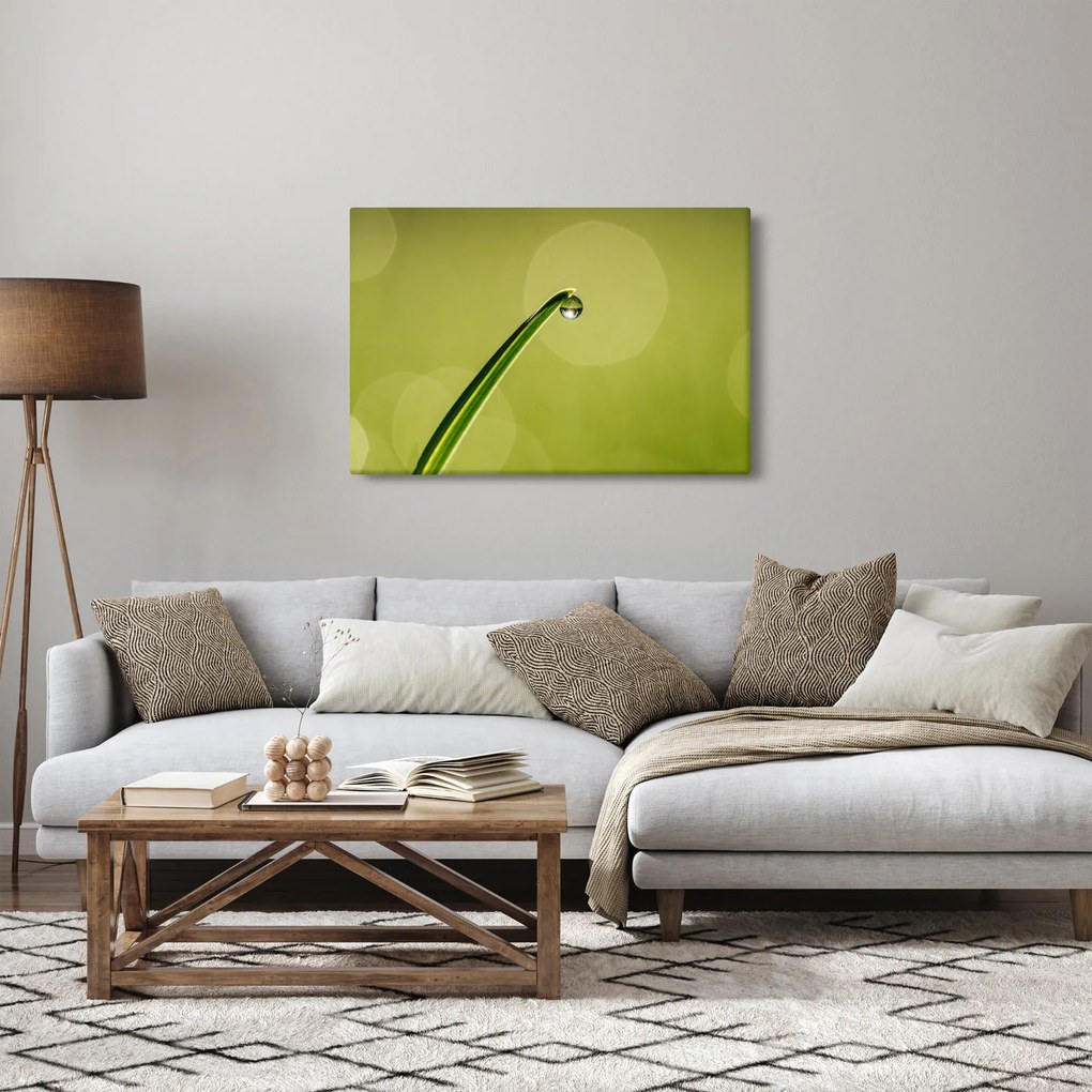 Víz csepp a fűben képe (90x60 cm)