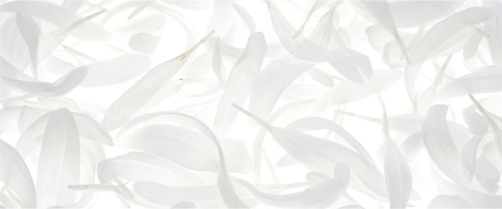 Kép - Szirmok (120x50 cm)