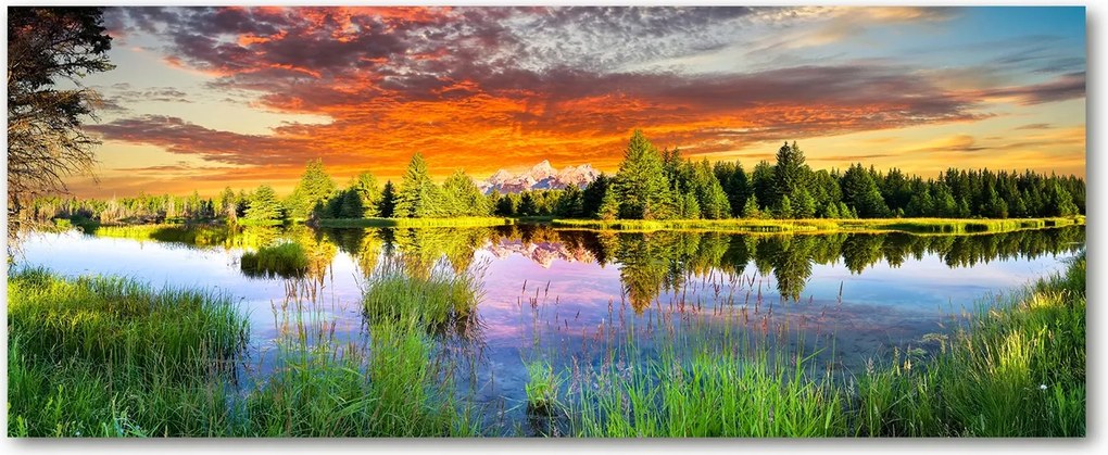 Lacobel falvédő a konyhába Folyó az erdőben XXL