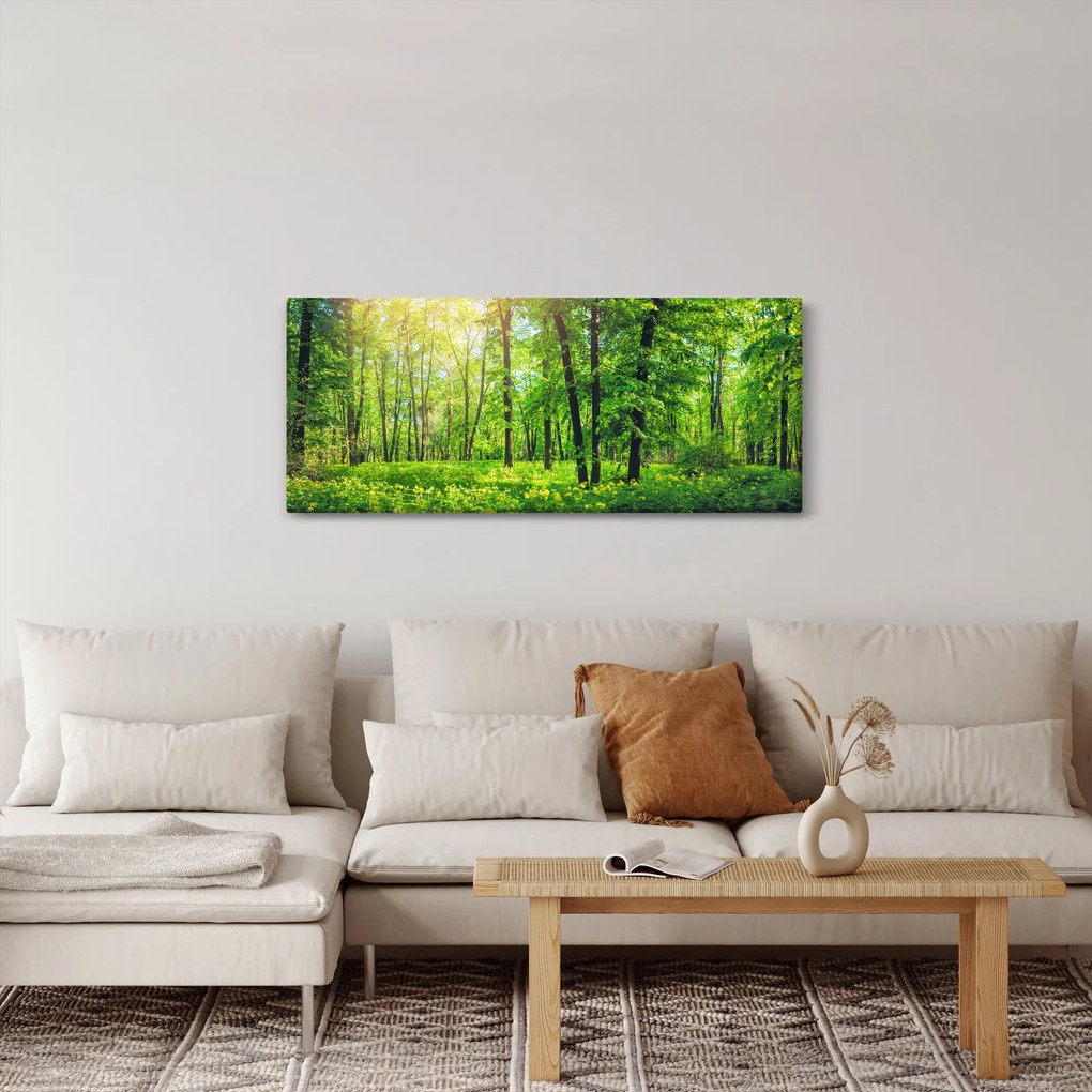 Kép - Tavaszi lomberdő (120x50 cm)