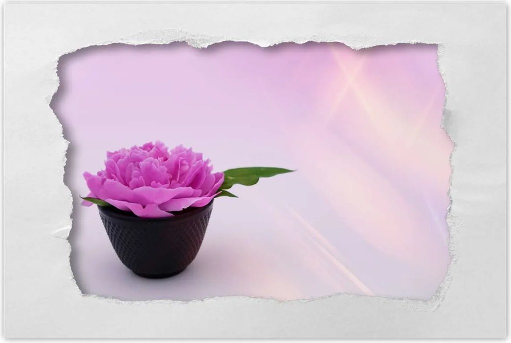 Poszterek 60x40 Spa Wellness Virág