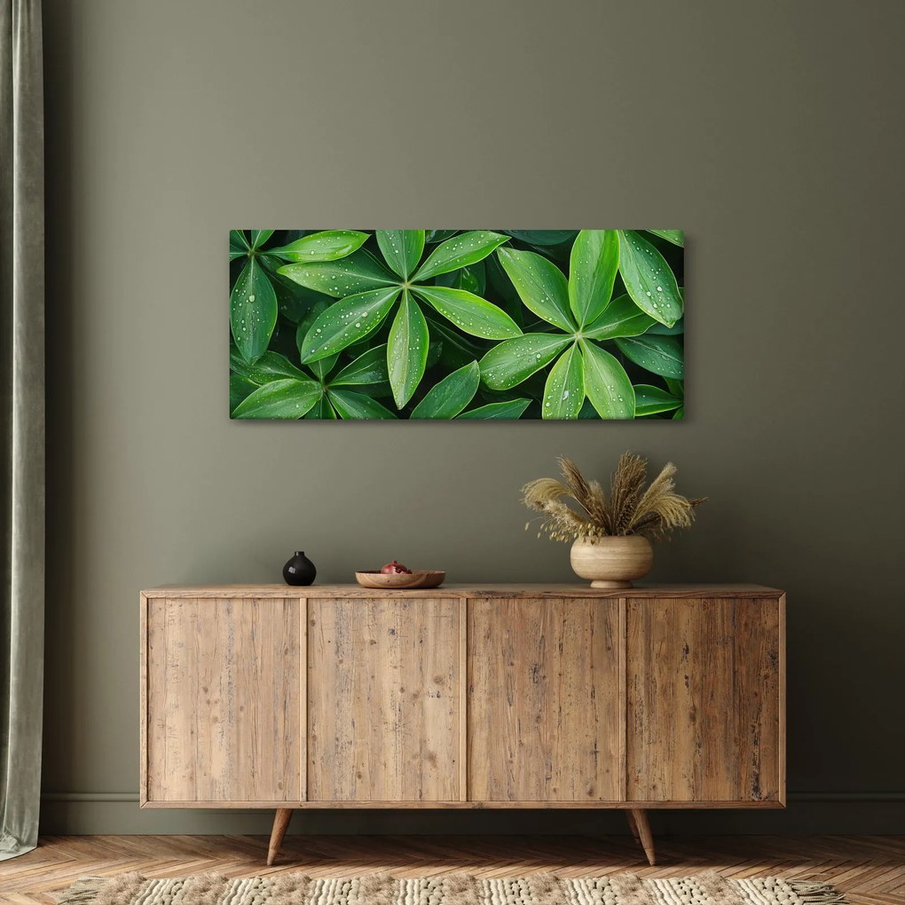 Kép - Levelek harmatcseppekkel (120x50 cm)