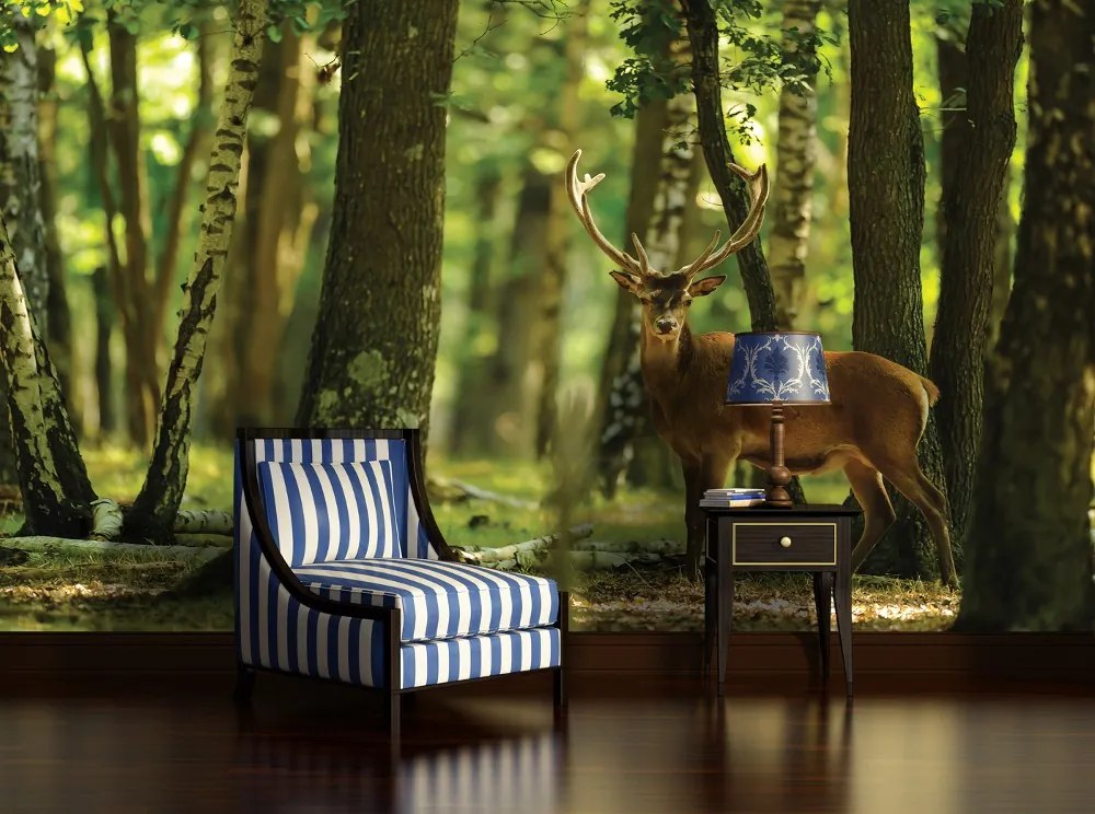 Szarvas az erdőben poszter, fotótapéta, Vlies (208 x 146 cm)