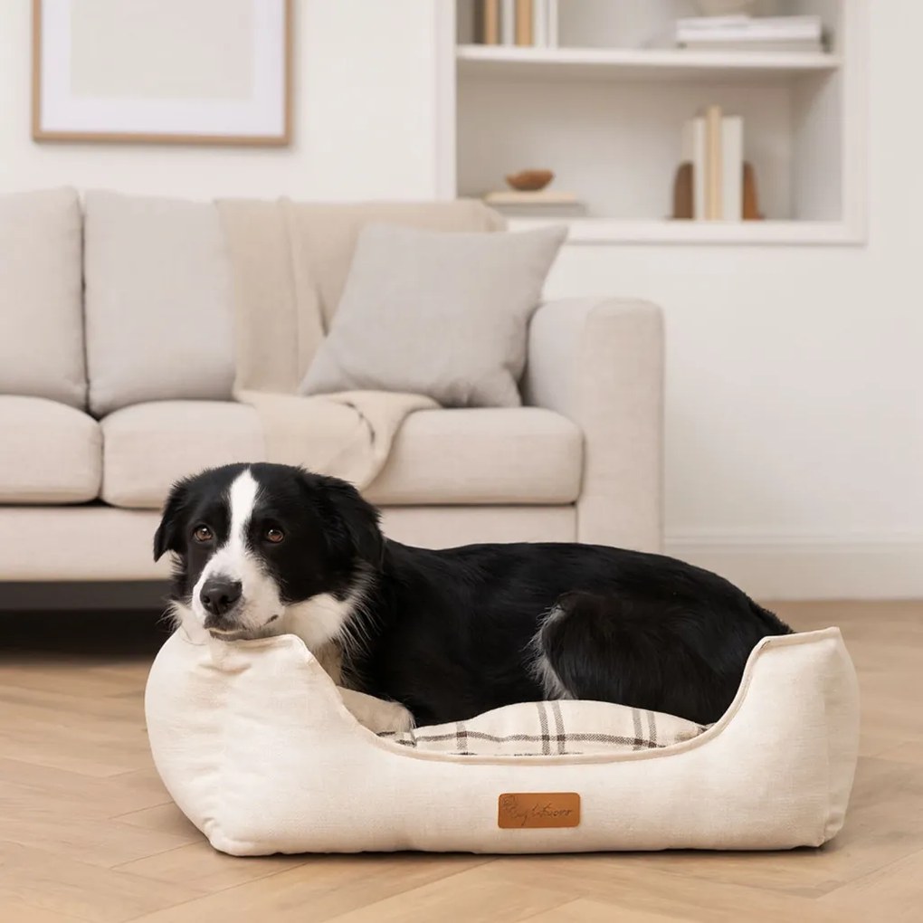 British prémium kutyafekhely, S 60x50 cm