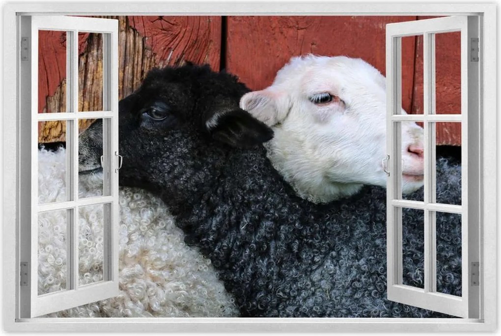 Poszterek 90x60 Szerelem Érzés Párkapcsolat