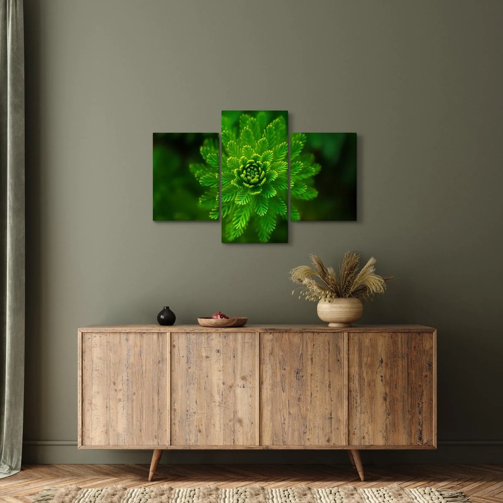Tűlevelű képé (90x60 cm)
