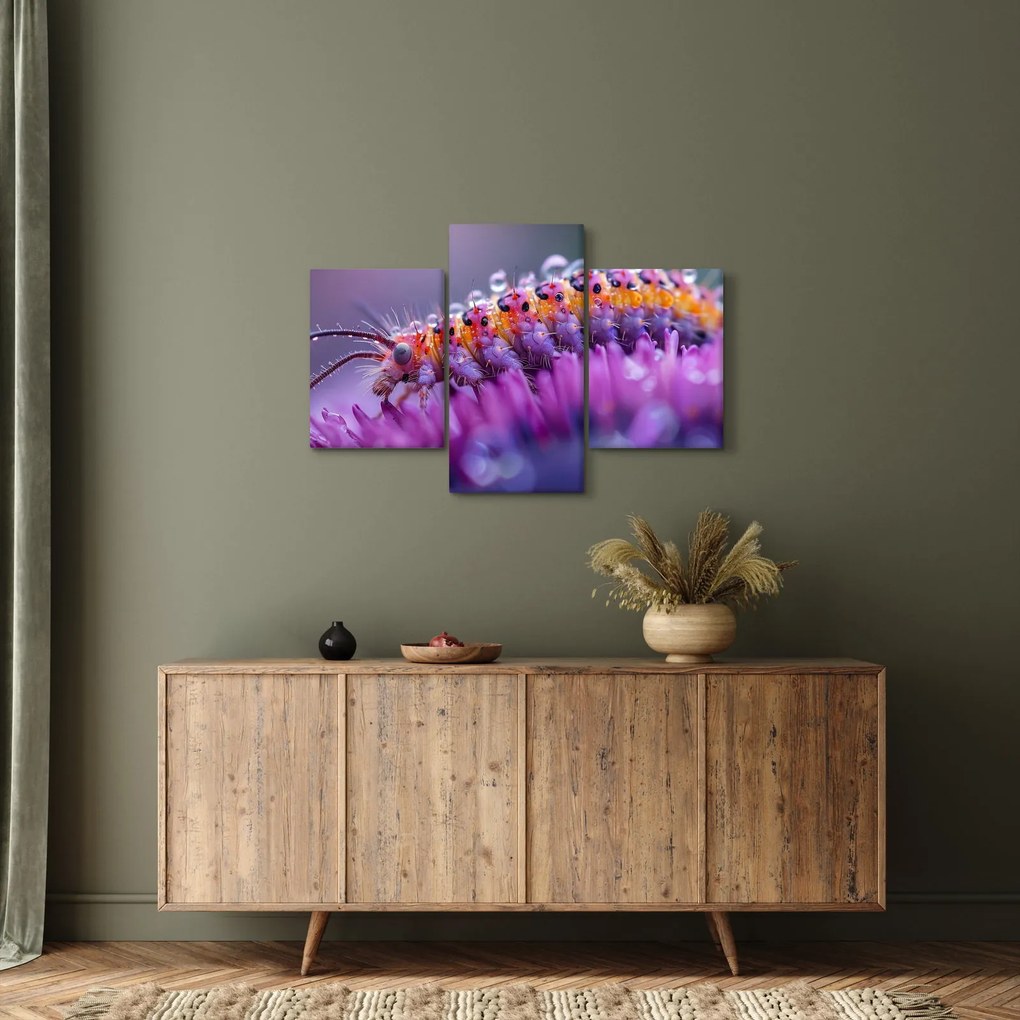 Kép - Caterpillar (90x60 cm)