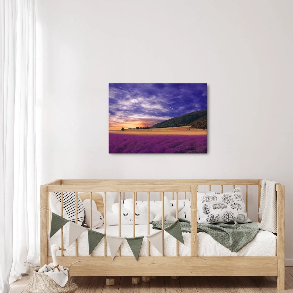 A levendula rét képe (70x50 cm)