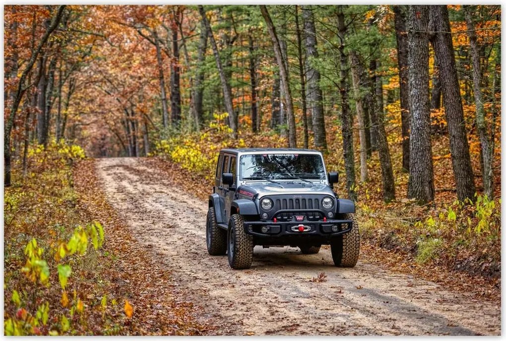 Poszterek 120x80 Jeep Wrangler az erdőben