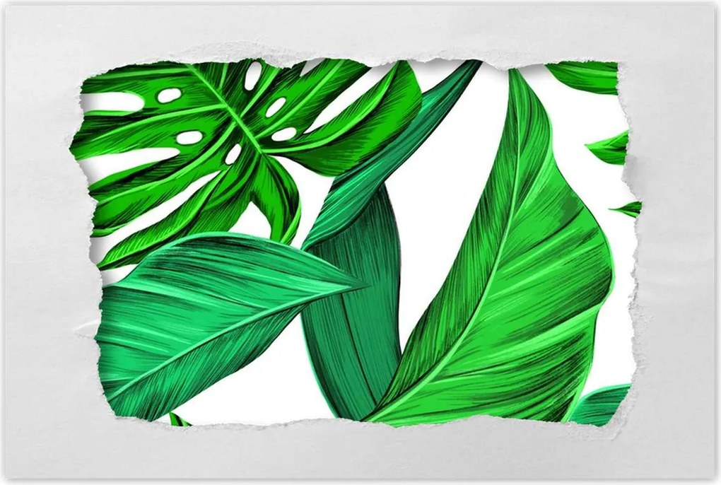 Poszterek 120x80 Zamatos Monstera Trópusok