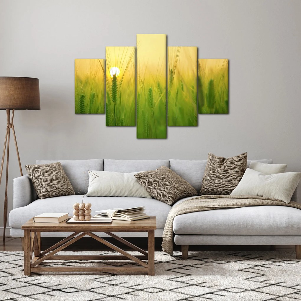 Kép - Mező gabonával (150x105 cm)