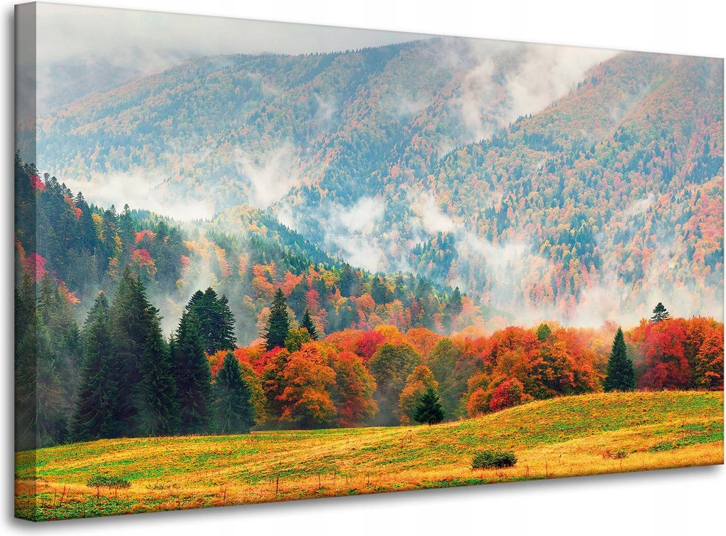 Vászonkép Hegy Erdők Rétek Felhők Természet 100x60 cm