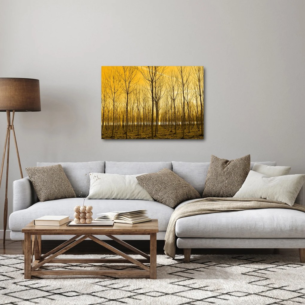 Kép - Faültetvény (70x50 cm)
