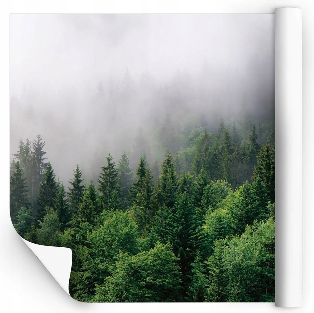 Méretre Szabott Fotótapéta Konyha Fürdőszoba Mosható Fali Tapéta Ellenálló