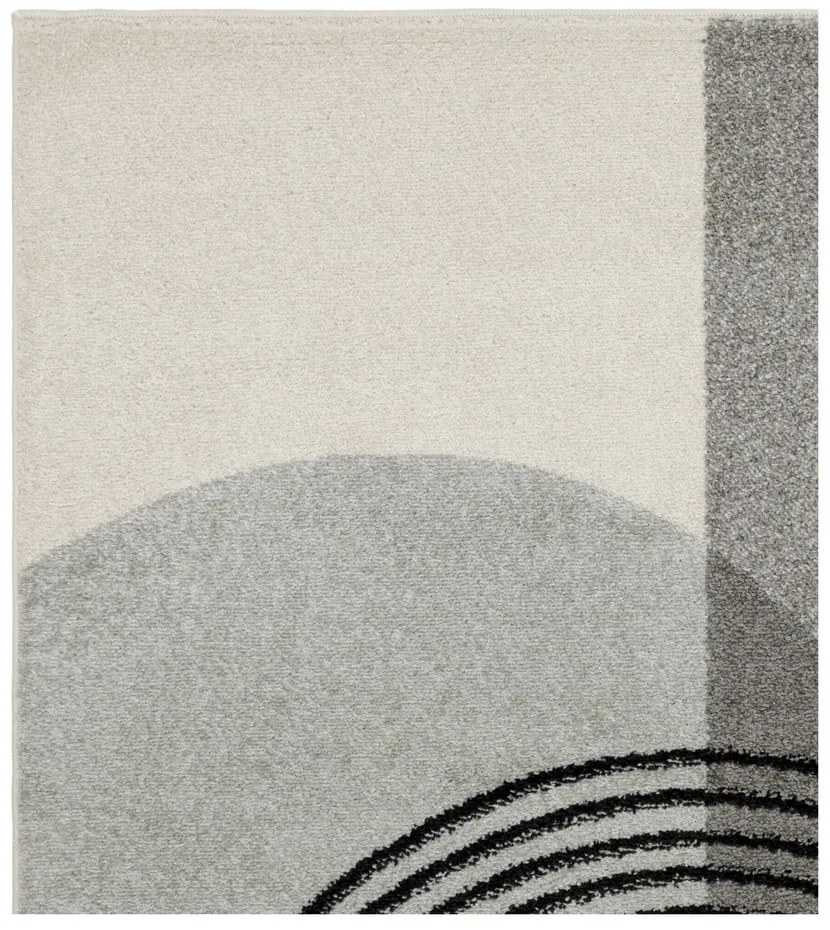 Szürke szőnyeg 230x160 cm Muse - Asiatic Carpets