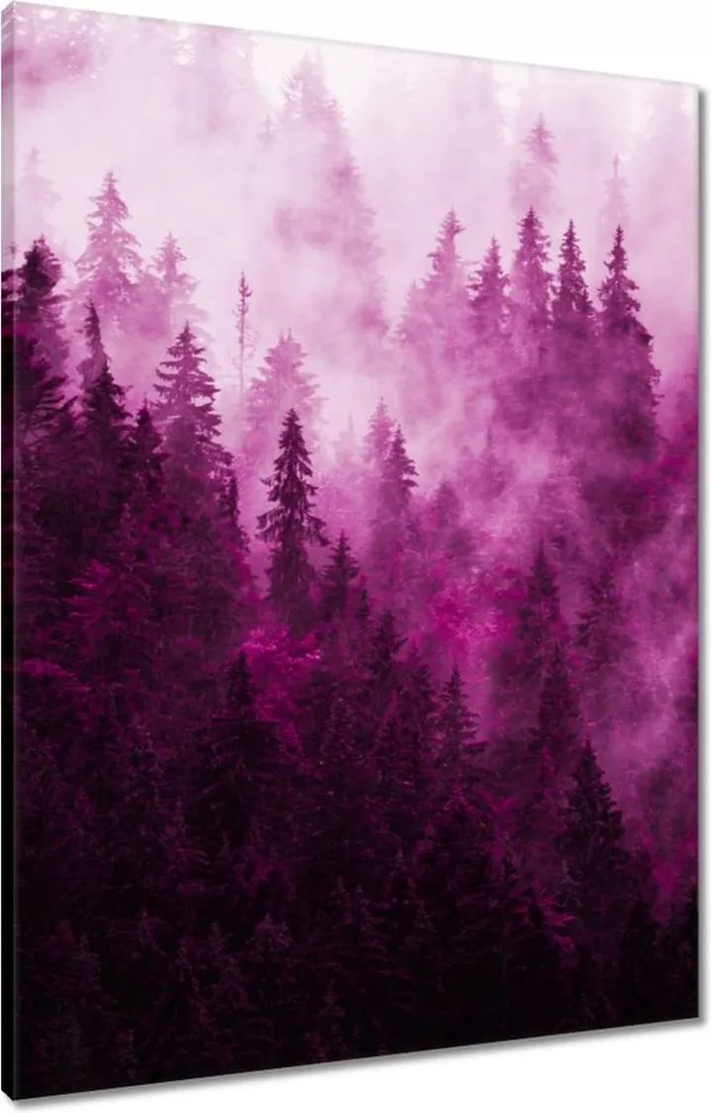 Vászonkép 60x80 Tájkép Rózsák Hegyek Köd