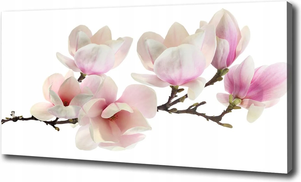 Canvas falikép Magnolia 100x70 cm