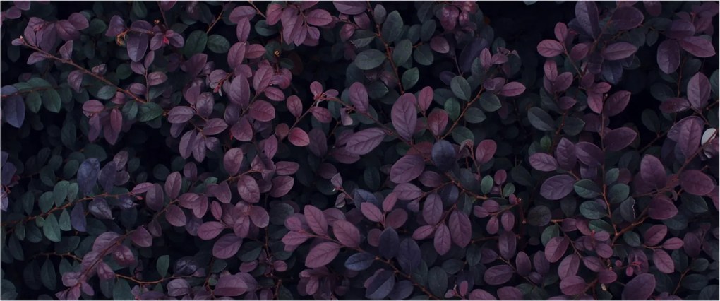 Sötétvörös levelek képe (120x50 cm)