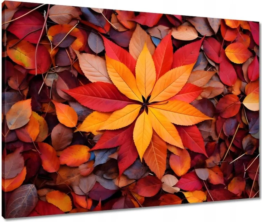 Vászonkép 80x60 Őszi színes levelek