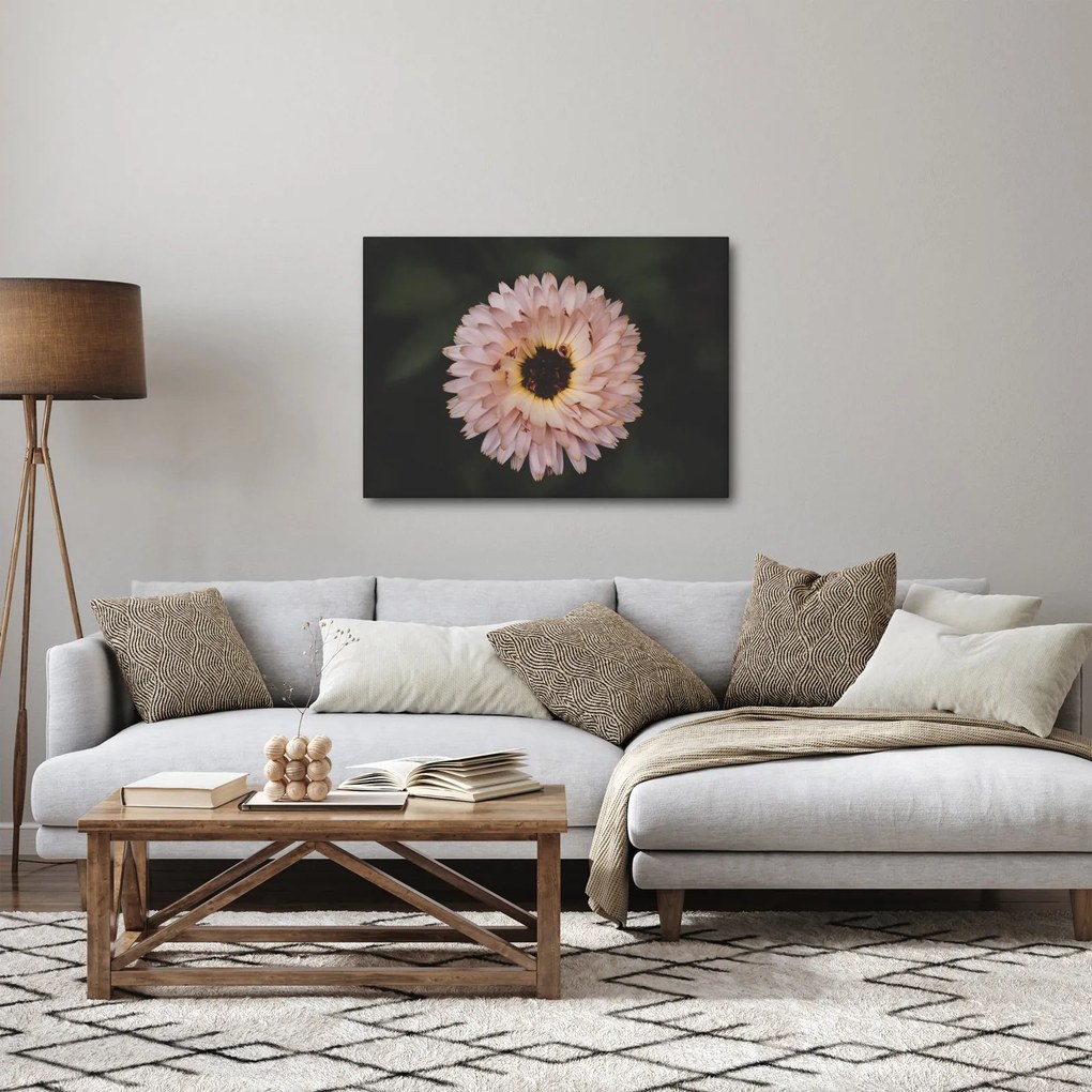 Narancsságra virág képe (70x50 cm)