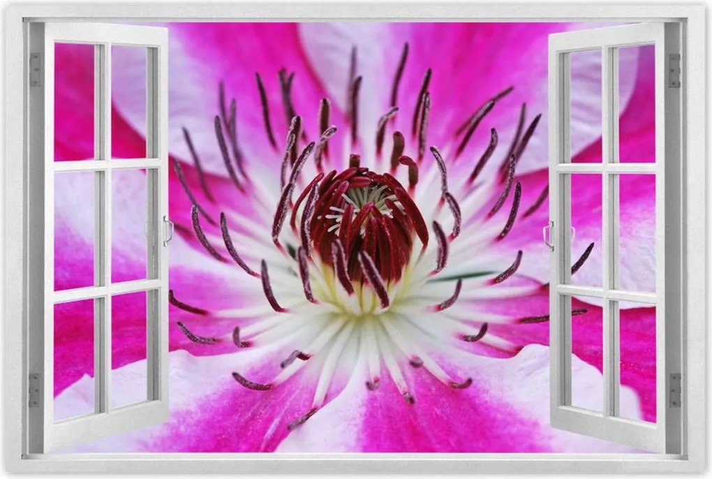 Poszter 60x40 Fehér-lila szirmok