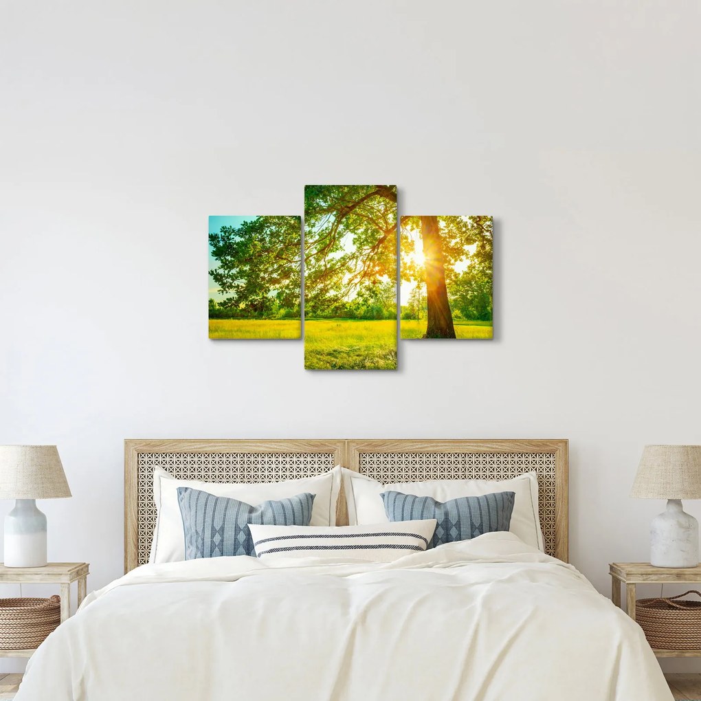 Kép - Sunny Forest (90x60 cm)