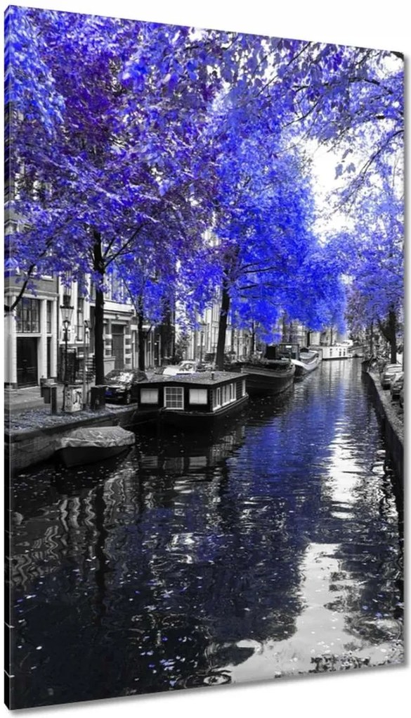 Vászonkép 80x120 Búzavirág Amsterdam