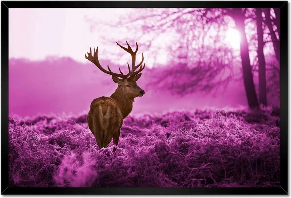 Poszter keretben 60x40 Szarvas a lila erdőben