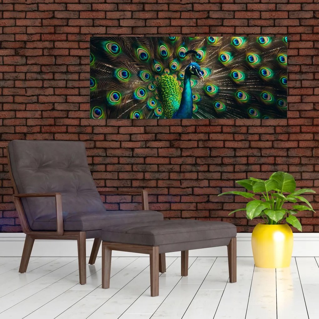 Kép – Pávatoll (120x50 cm)