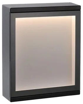 Lucide 27879/06/30 - LED kültéri fali lámpa CADRA LED/6W/230V