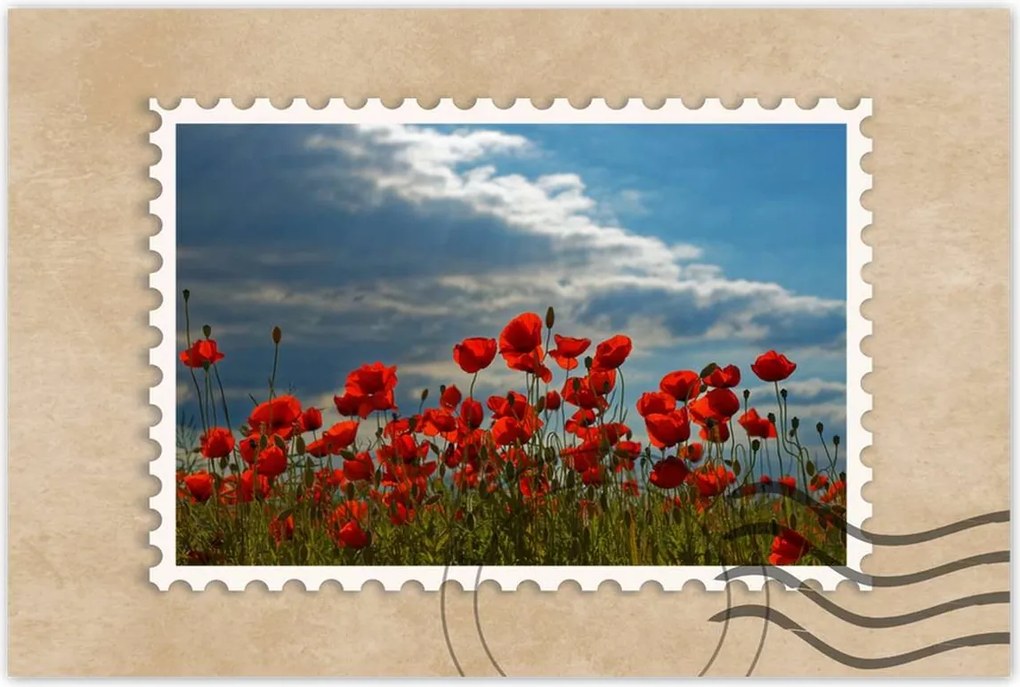 Poszterek 90x60 Pipacs Virágok