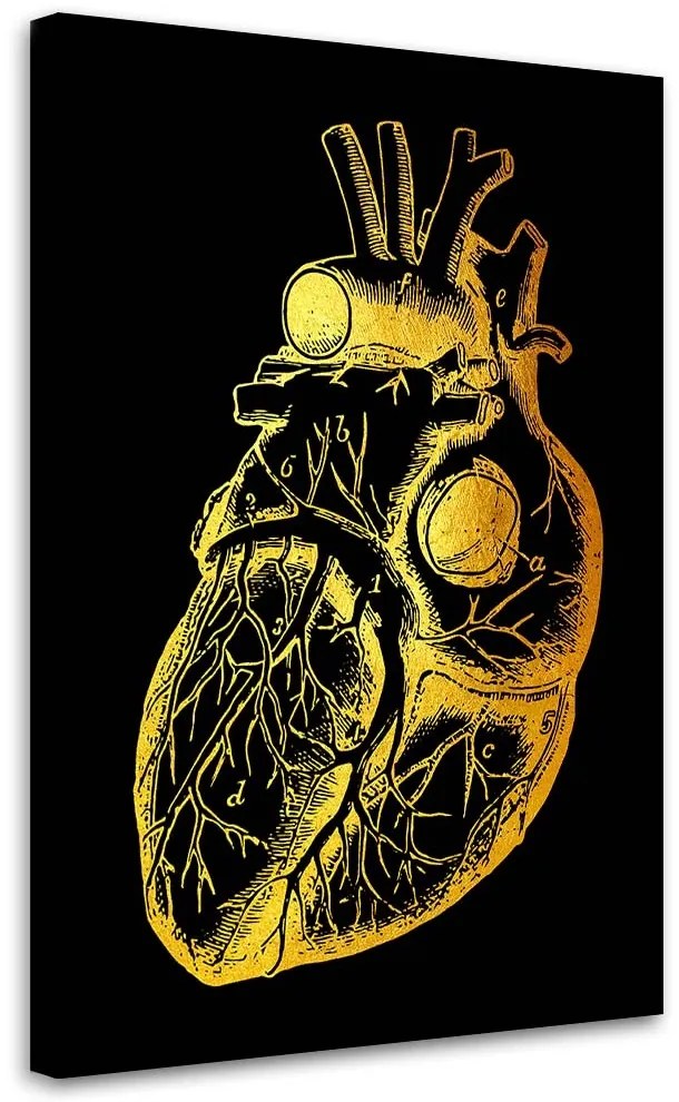 Gario Vászonkép Arany anatómia az emberi szív - Gab Fernando Méret: 80 x 120 cm