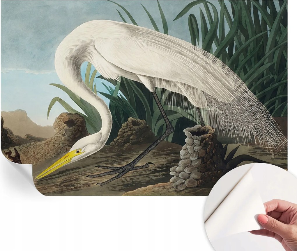 Divatos öntapadós fali tapéta Furnér Fenséges kócsag 152x104 cm