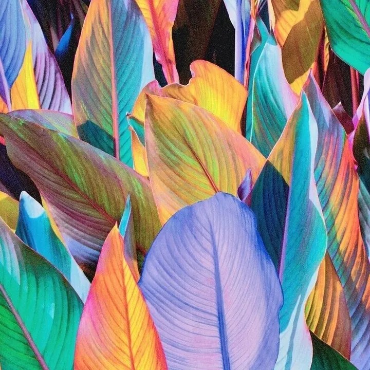 Tapéta nagy, buja, többszínű trópusi levelekkel a flizelinen