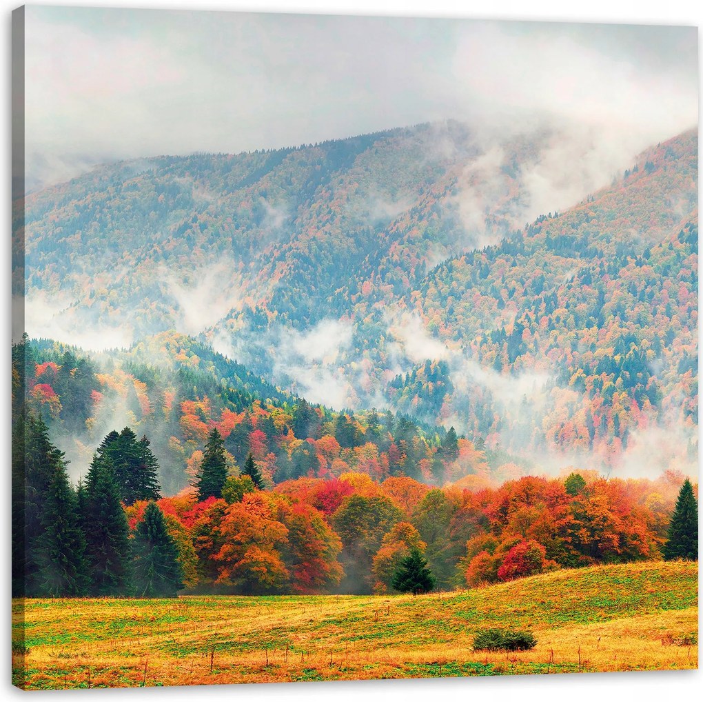 Vászonkép Hegy Erdők Rétek Felhők Természet 60X60 cm Ajándéknak is tökéletes