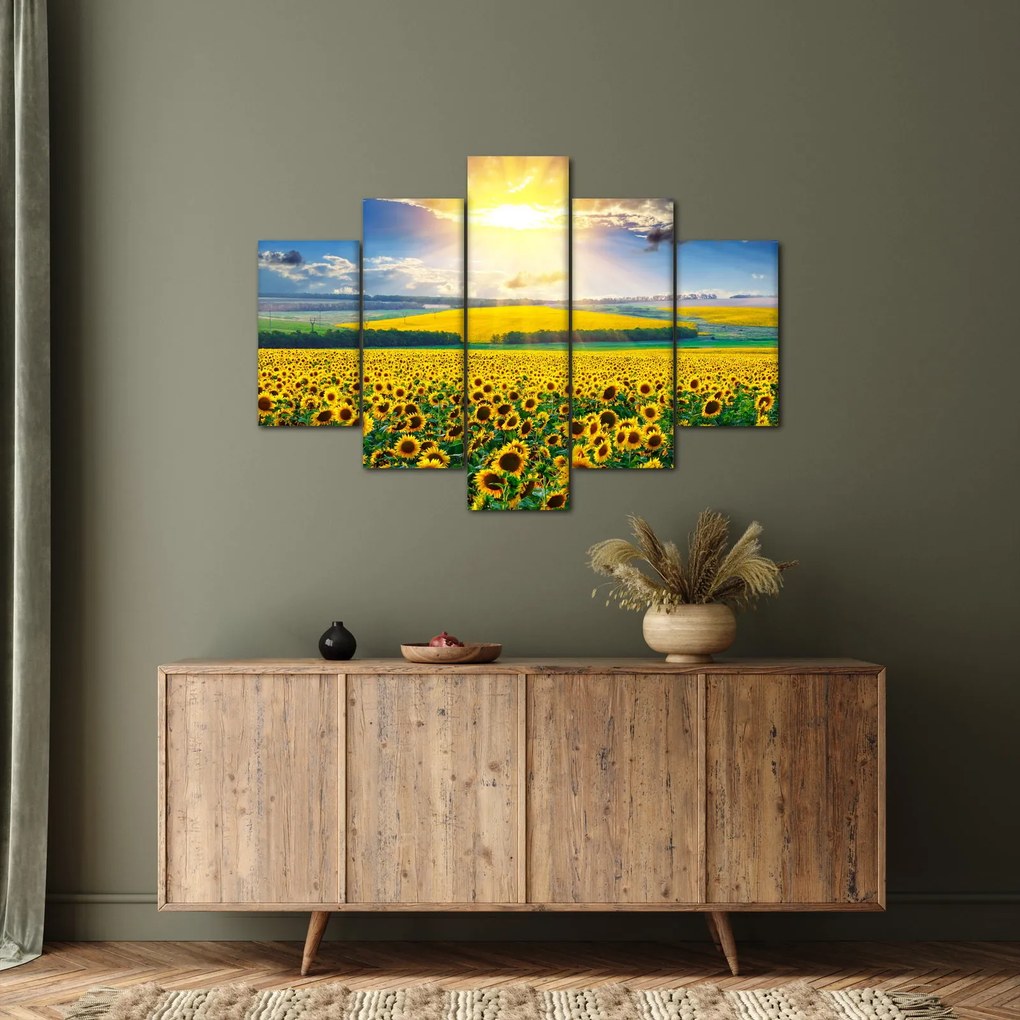 Kép - Napraforgó mező (150x105 cm)