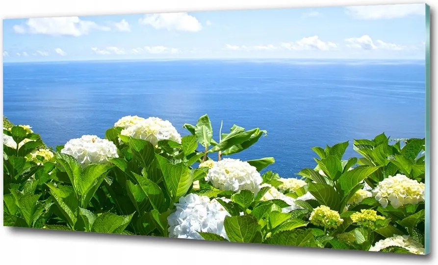 Fotó üvegkép Vízesés az erdőben 125x50