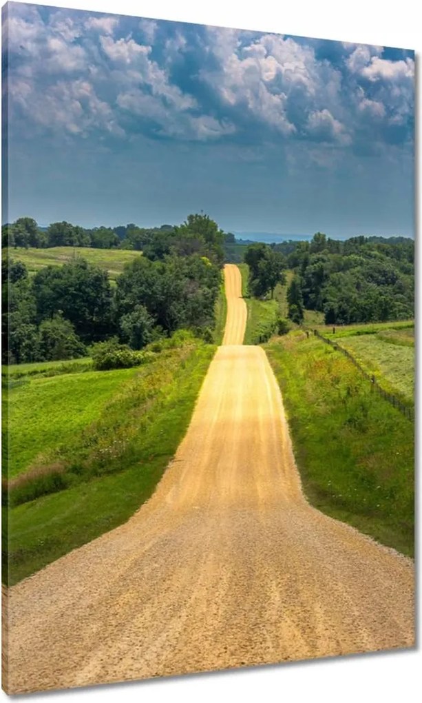 Vászonkép 70x100 Út Rét Mező Erdő