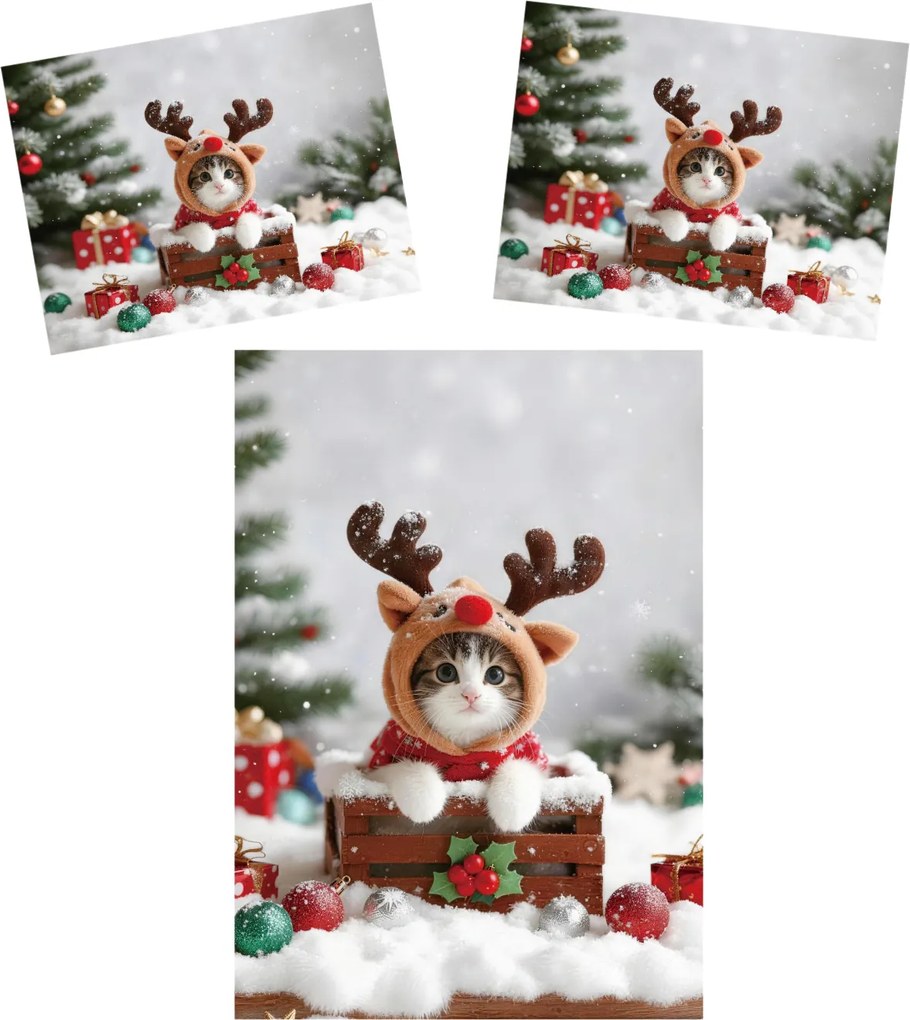 3D mikroszálas ágyneműhuzat RUDOLPH KITTEN színes Ágyneműhuzat mérete: 70 x 90 cm | 140 x 200 cm