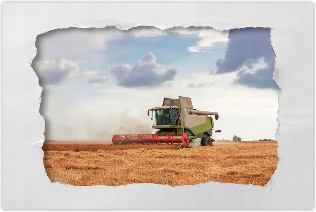 Poszterek 90x60 Kombájn a gabonamezőn