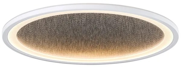 Brilliant - LED Dimmelhető mennyezeti lámpa TANIDA LED/31W/230V 3000-6500K + távirányító